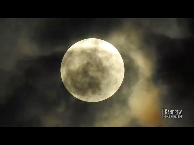 Aria of the Queen of the Night from the opera The Magic Flute - Bolshoi Theater - Ekaterina Ferzba