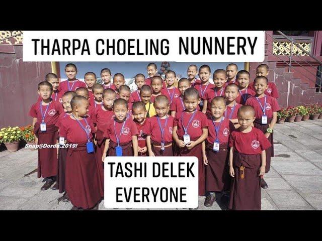 Tibetan Buddhist Nuns//Life Of A Buddhist Nuns Documentary// Tharpa Choeling Nunnery// Kirtipur //