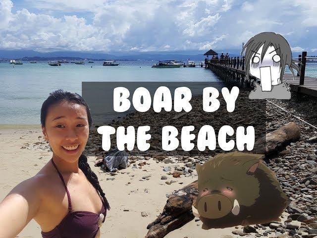 Boar by the Beach  [Asia Trip 2017 Vlog #10]  LAZYPANDAH