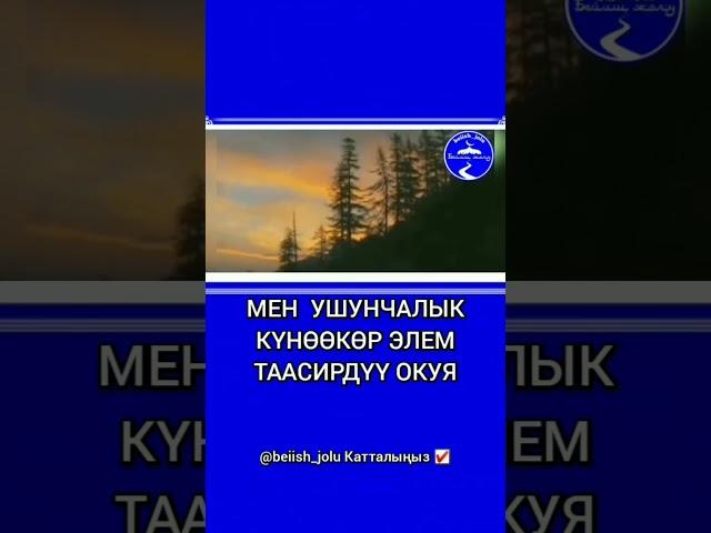 Жетимдерге жардам бергендин сообу аяабай тасирдуу окуя (устаз Бактыяр Дамылла)