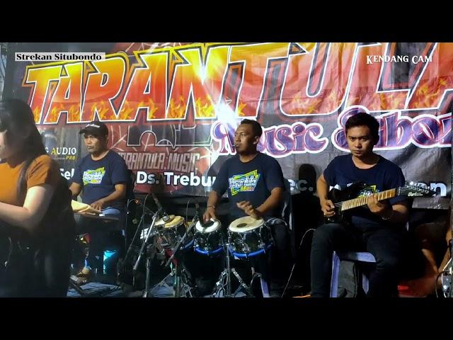 HABIS GELAP TERBITLAH TERANG - ISMAIL SADEWA COVER TARANTULA MUSIC