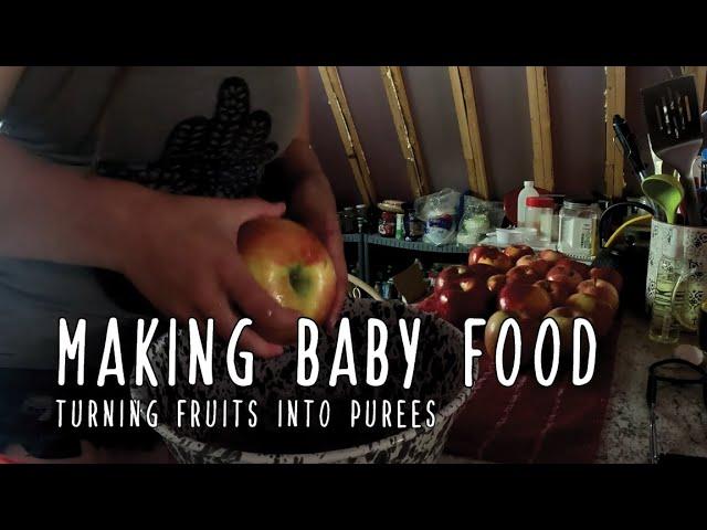 Let's Make Baby Food - Turning fruits into purees