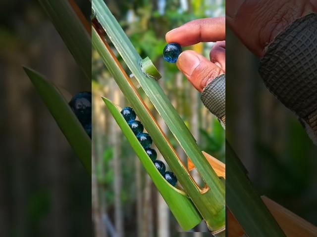 Just amazing Bamboo make slingshots #bamboocrafts #craft