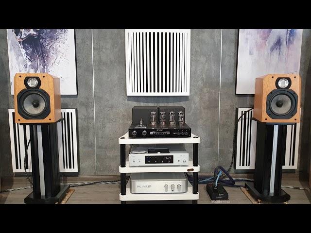 Legacy Studio HD + Plinius 9100 amp + CEC Cd5