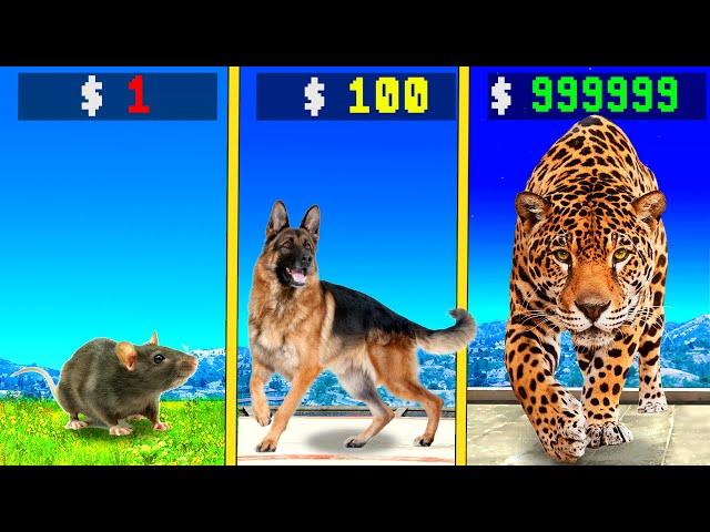 $1 ANIMAL to $1,000,000,000 in GTA 5