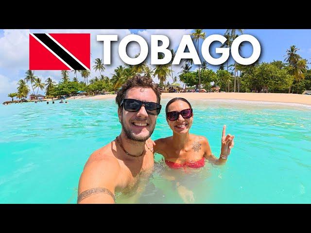 TOBAGO | THE CARIBBEAN GEM! 