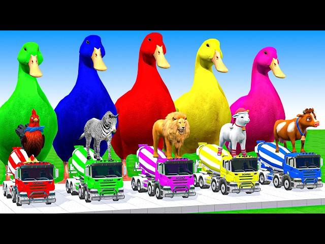 5 Giant Duck Cartoon, Cow, Mammoth, Elephant, Lion, Paint Wild Animals Crossing Fountain Animation