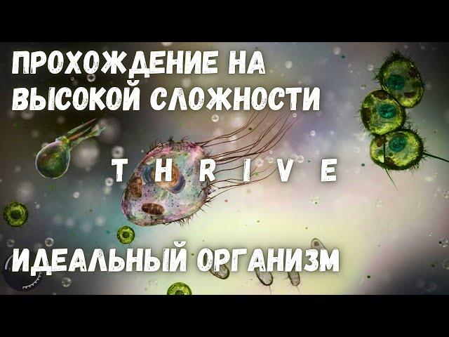 Идеальный Организм - Thrive - Высокая Сложность