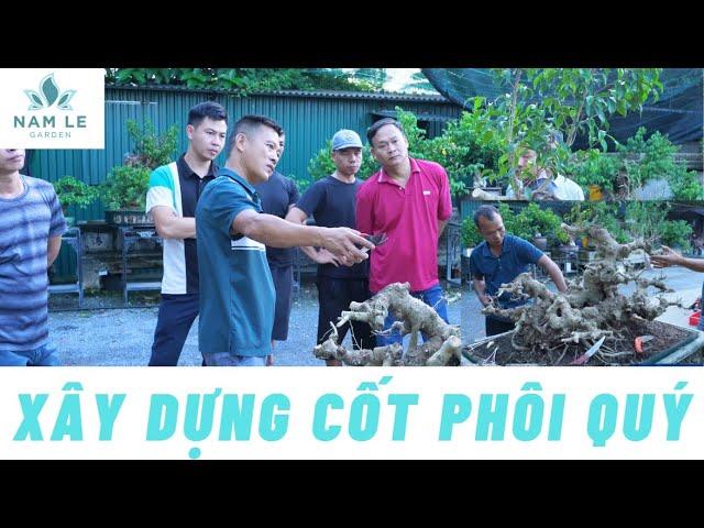 Xây dựng các bước đầu để đạt được một cây quý cho em Bonsai Lễ | NamLe Bonsai