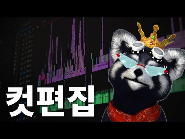 이것도 모르면서 편집 시작하지 마세요 [한달만에 편집자 ep.1]