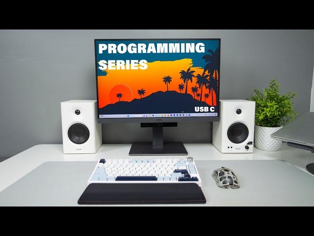 BenQ RD240Q Programming Monitor Review | Best Programming Monitor?