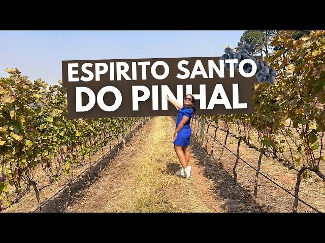 ESPIRITO SANTO DO PINHAL, A TOSCANA BRASILEIRA