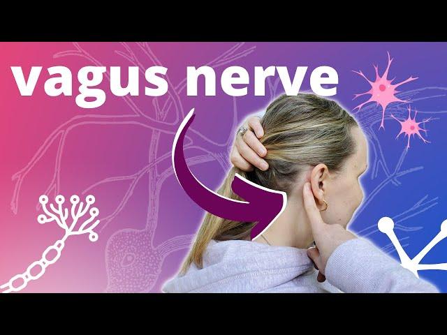 4 Vagus Nerve Massage for Stress & Anxiety