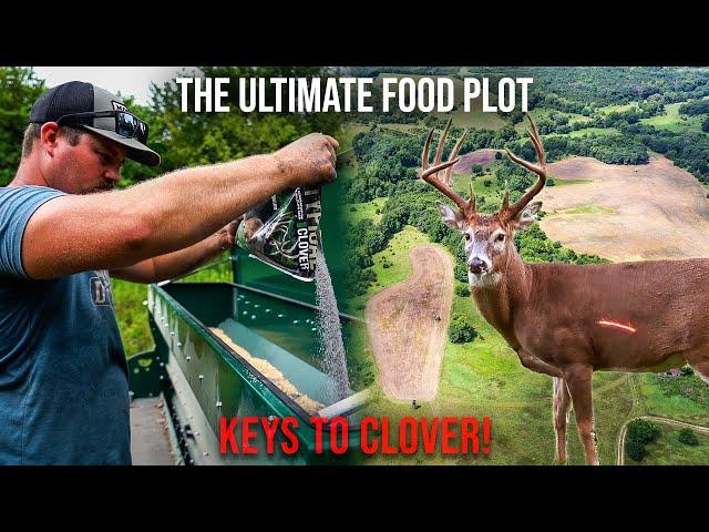 Everything You Need To Know About CLOVER Food Plots | Deer Season 24