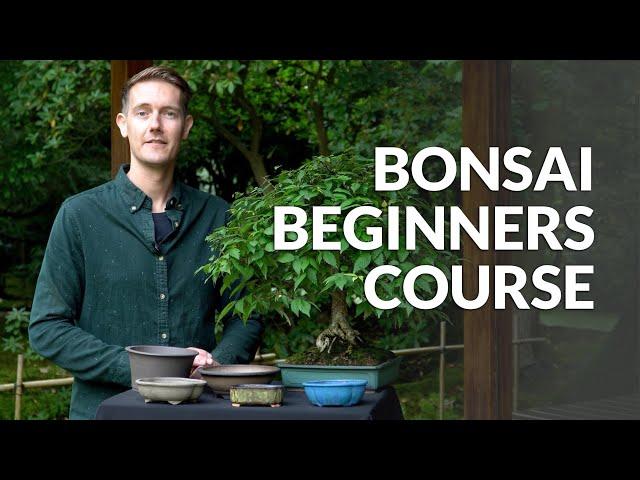 Bonsai Beginners Course