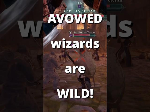 AVOWED wizards are WILD!