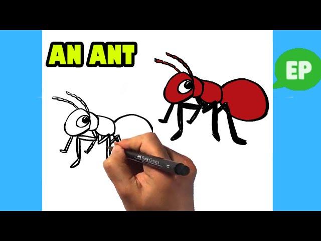 How to Draw an Ant - Easy Pictures to Draw