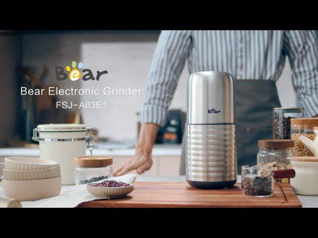 Bear Coffee Grinder, Spice Grinder, FSJ-A03E1 300W