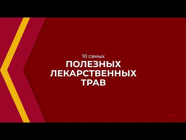 Онлайн курс обучения «Фитотерапия (Травничество)» - 10 самых полезных лекарственных трав