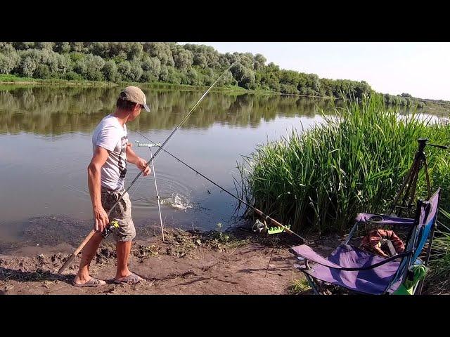 ЛЮТЫЙ КАРАСЬ ХВАТАЕТ И БЕЖИТ! Рыбалка на Дону в Воронежской области!