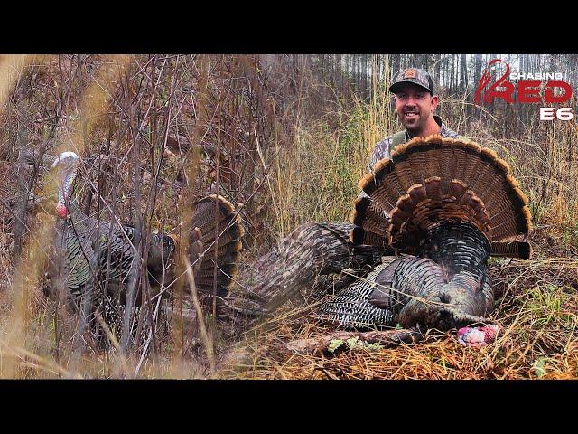 Big Timber Gobbler In Alabama At The Final Hour #hunting #turkeyhunting