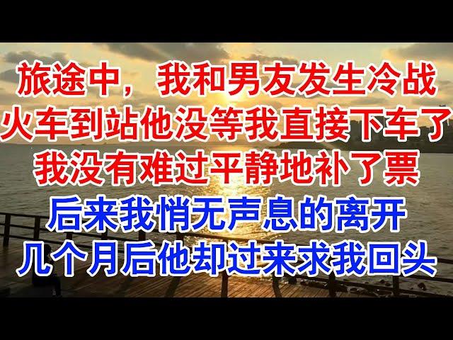 旅途中，我和许泽冷战。   火车到站时，他没等我，先下车了。 乘务员叫醒我时，已经过站了。 我没有想象中的难过，很平静地补了票。#小说 #故事 #爱情故事 #情感 #情感故事 #亲情故事  #婚姻