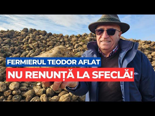 Fermierul Teodor Aflat nu renunță la sfecla de zahăr!