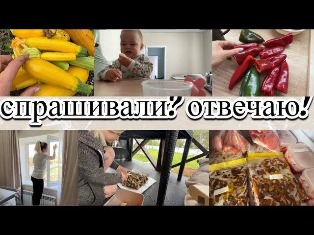 VLOG: РАБОТАЮ в ОГОРОДЕ/Максим ест ЛУК:)))/Мою ОКНА/Отдых на МОРЕ