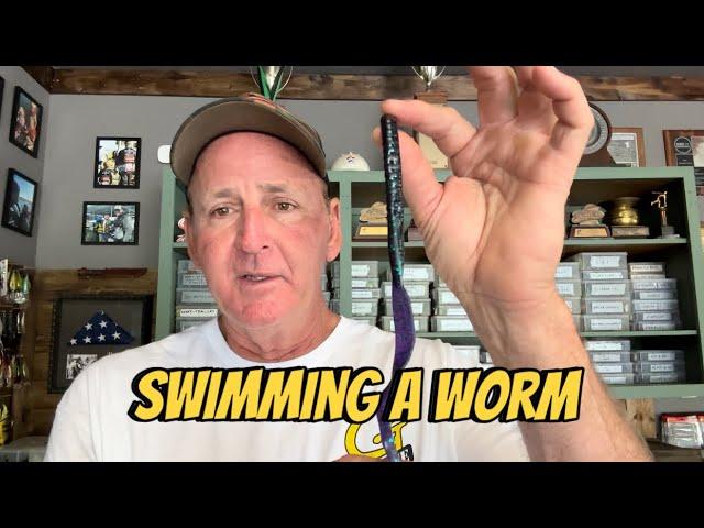 When Swimming A Worm Catches Big Bass In The Summer…