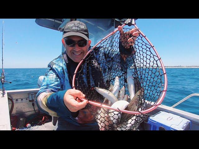 Epic Days Fishing for King George Whiting Catch n cook for Christmas