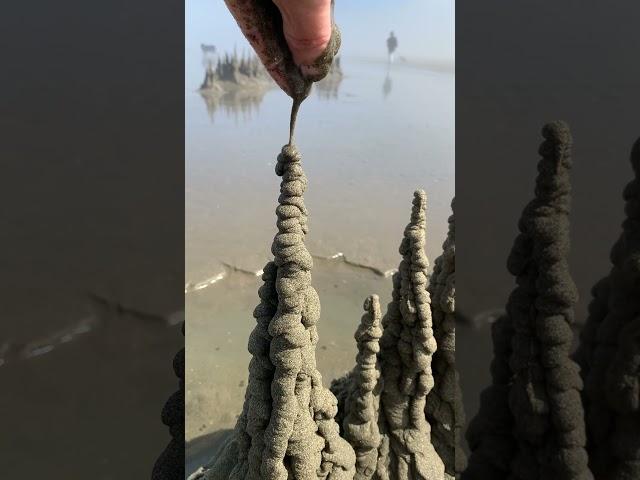 California Dreaming #oddlysatisfying #beach #sandcastle #satisfying #nature #california