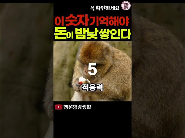 2024년 12가지 띠별로 대박터지는 숫자