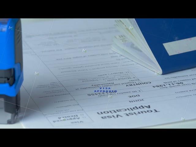 Approval visa stamp and travelling passport