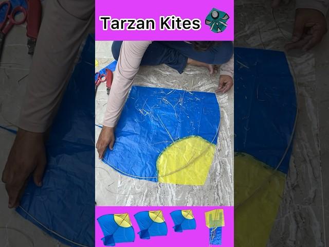 Shopping bag(Lafafa)Kite Making #Shopper kite Flying Test #diy Craft #Tarzan Kites