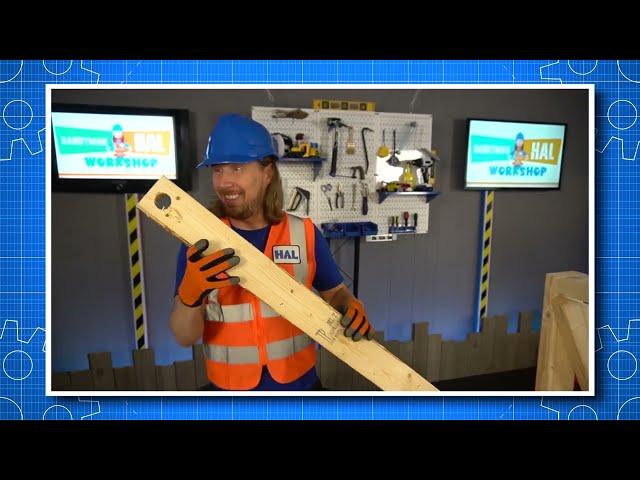 Handyman Hal Song | I Got a Job for You | Fun Music for Kids