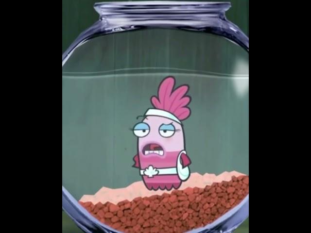 Fish Hooks Shellsea
