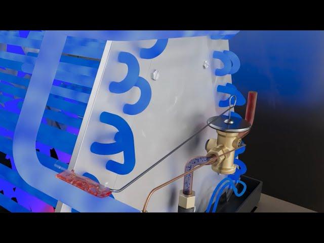 TXV - 3D animation