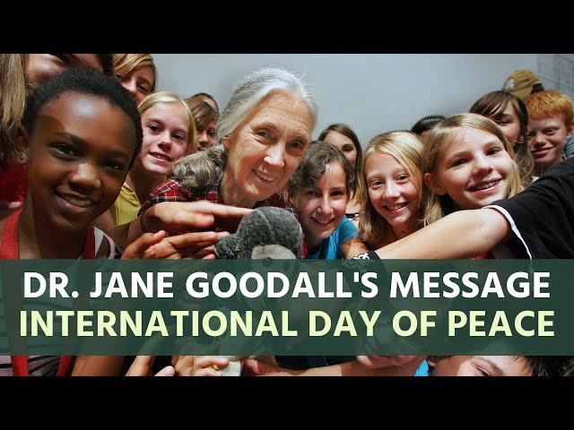 Dr. Jane Goodall's Message for International Day of Peace