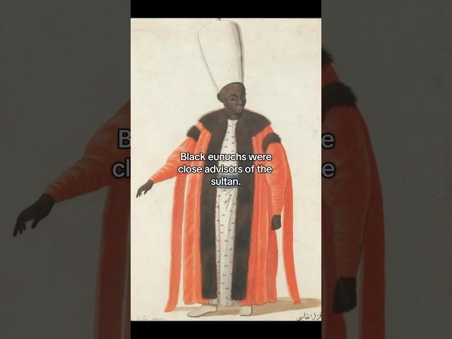 The role of Black Eunuchs in the Ottoman Empire #history #art
