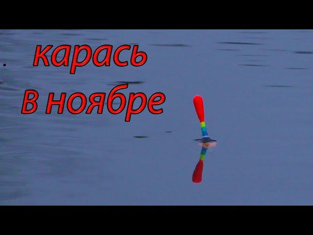 Рыбалка на карася в ноябре !