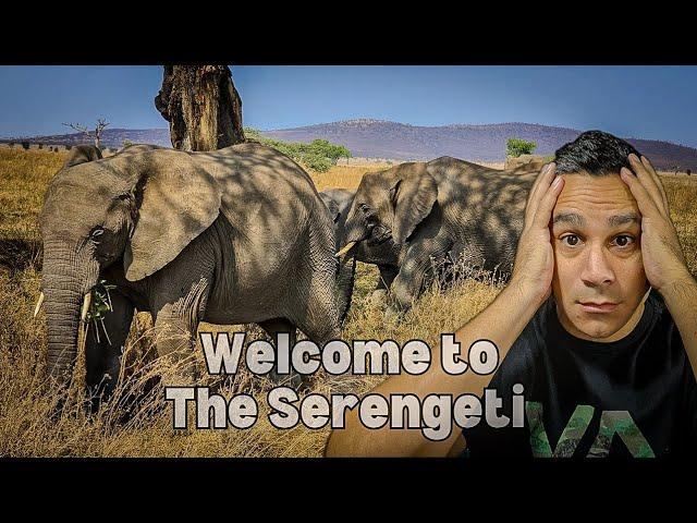 Going to Africa Wildest Adventure Serengeti Tanzania