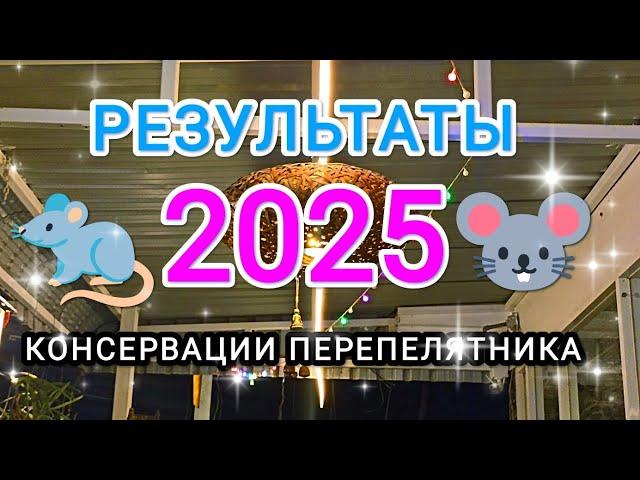 Результаты консервации перепелятника' 2025 #перепела #перепелки #борьба #грызуны #консервация #мышь