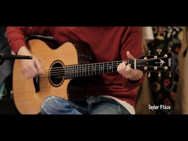 Taylor 914ce VS Martin D-28