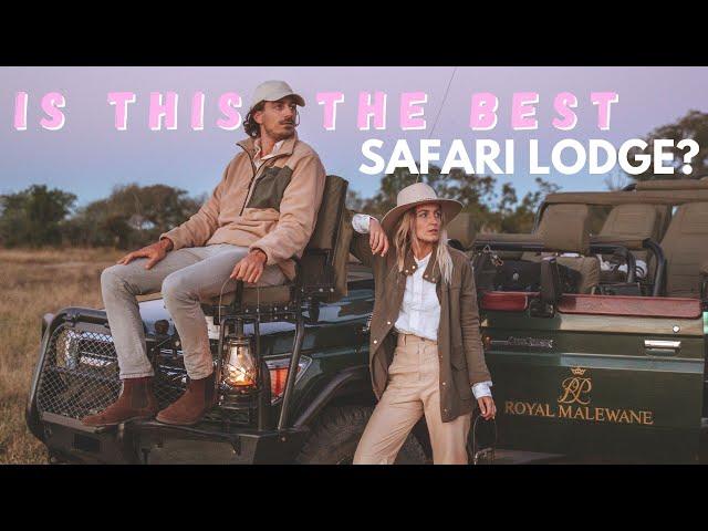 Our First African Safari | Royal Malewane Luxury Lodge | INCREDIBLE EXPERIENCE