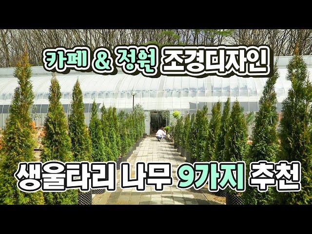 조경 디자이너, 식물 전문가의 조경수 선택 공개합니다!│감성카페 조경, 마당정원 조경