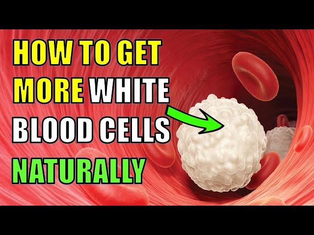 How To Increase White Blood Cells Naturally