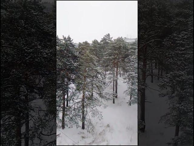 Забыть нельзя, вернуться невозможно...  Артур.