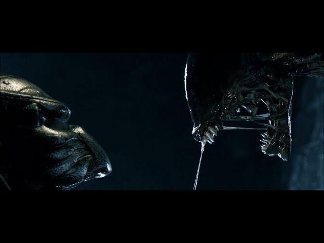 Alien vs. Predator | Feel Invincible