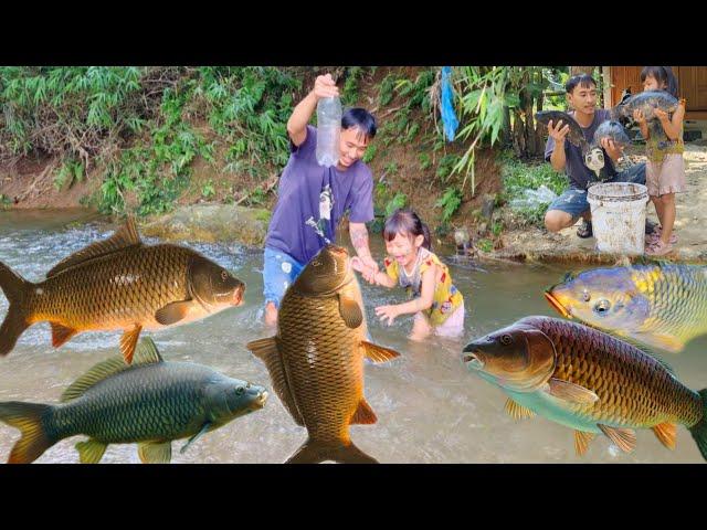 Single Dad, Meet a giant school of fish, catch and trap fish with his 4 year old daughter, cook