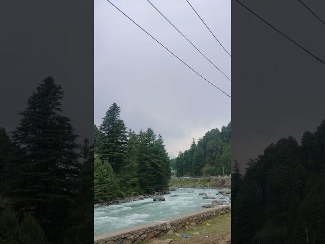 A Day in Betaab Valley: Nature's Paradise in Pahalgam ️ ️| #kashmir #pahalgam #PahalgamDiaries